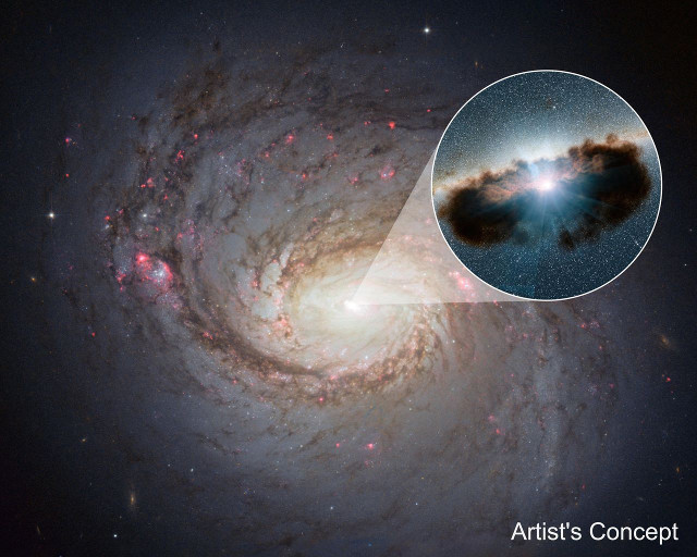 La galassia NGC 1068 vista dal telescopio spaziale Hubble e nel cerchio la rappresentazione artistica del buco nero supermassiccio circondato da una spessa ciambella di gas e polvere (Immagine NASA/JPL-Caltech)