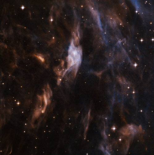 Parte della nebulosa Sh2-308 (Immagine ESA/Hubble & NASA)