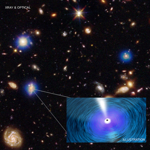 Buchi neri supermassicci nel Chandra Deep Field South (Immagine NASA/CXC/Penn. State/G. Yang et al and NASA/CXC/ICE/M. Mezcua et al.; Optical: NASA/STScI; Illustration: NASA/CXC/A. Jubett)