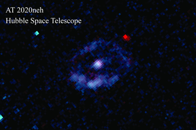 La stella divorata nell'evento AT 2020neh (Immagine NASA, ESA, Ryan Foley/UC Santa Cruz)