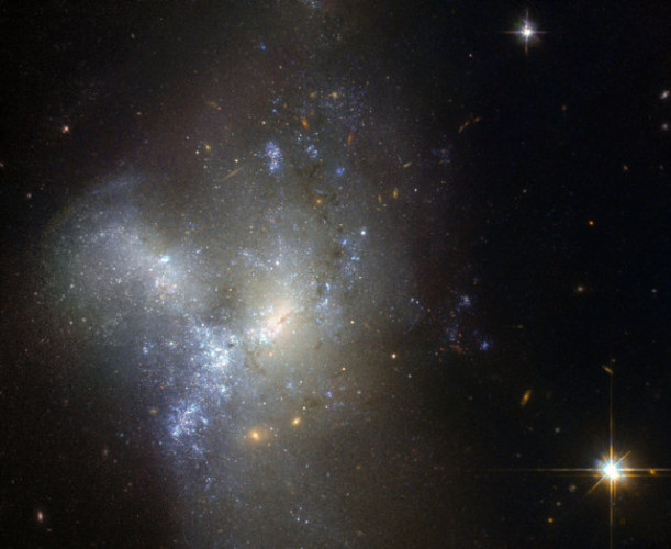 La galassia NGC 1487 fotografata dal telescopio spaziale Hubble (Immagine ESA/Hubble & NASA / Judy Schmidt)