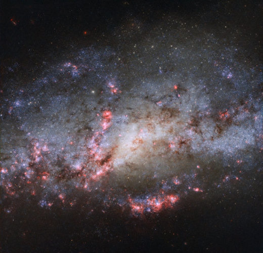 La galassia NGC 4490 (Immagine ESA/Hubble, NASA)