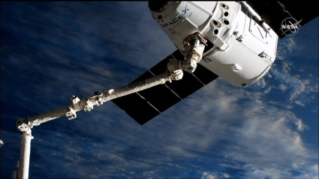 Il cargo spaziale Dragon catturato dal braccio robotico Canadarm2 durante la missione CRS-18 (Immagine NASA TV)