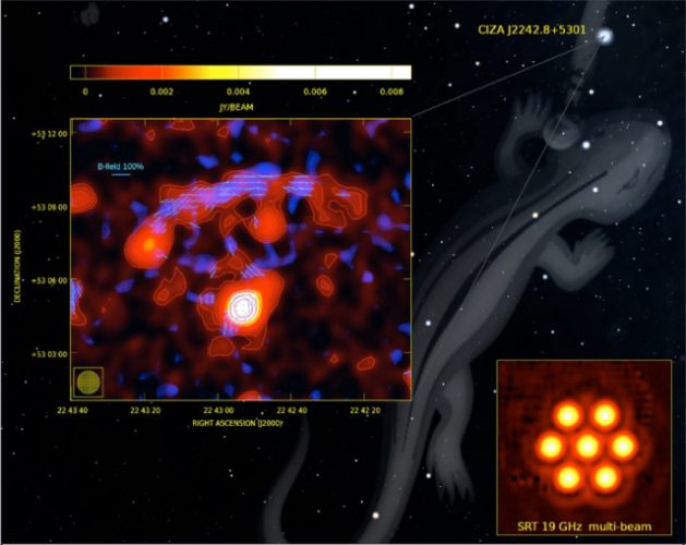 Il relitto radio nell'ammasso galattico CIZA J2242.8+5301