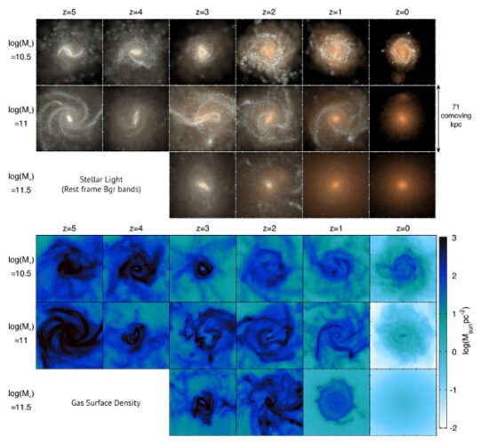 Tre galassie simulate nel progetto IllustrisTNG