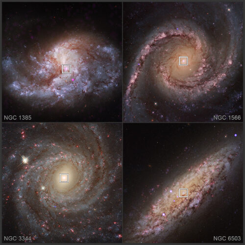Le galassie NGC 1385, NGC 1566, NGC 3344 e NGC 6503