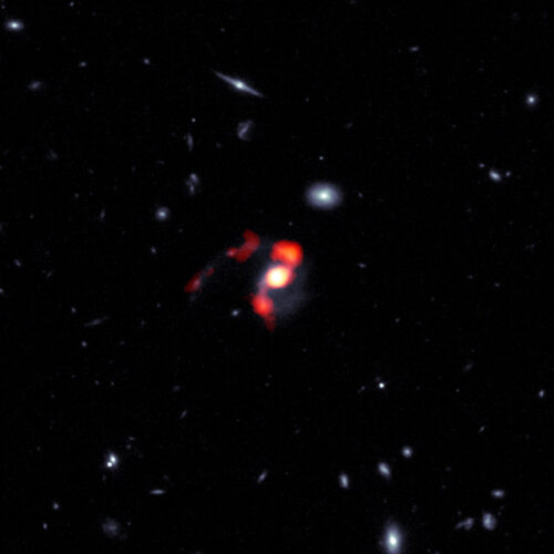 Immagine composita della galassia SDSS J1448+1010 vista da ALMA e Hubble (Immagine ALMA (ESO/NAOJ/NRAO), J. Spilker et al (Texas A&M), S. Dagnello (NRAO/AUI/NSF))