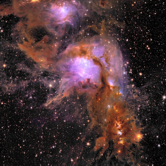 Messier 78 (ESA/Euclid/Euclid Consortium/NASA, image processing by J.-C. Cuillandre (CEA Paris-Saclay), G. Anselmi)