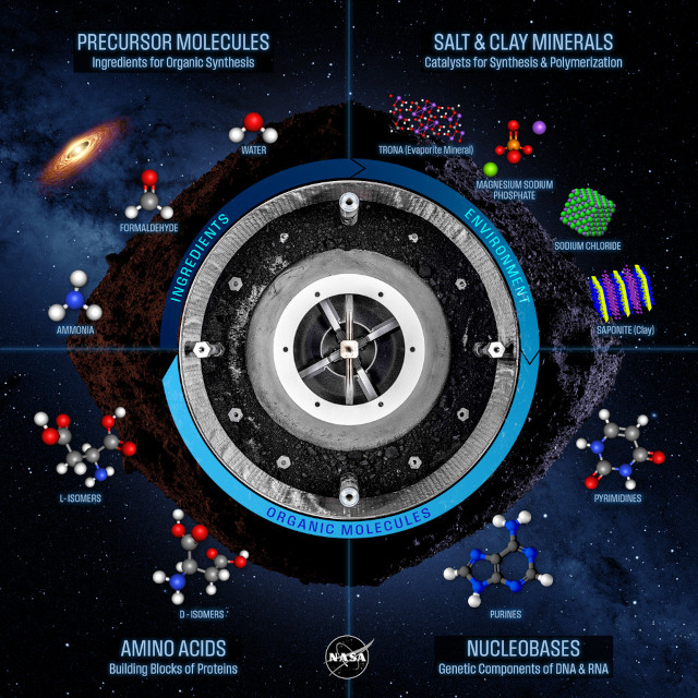 Infografica dei composti trovati sull'asteroide Bennu
