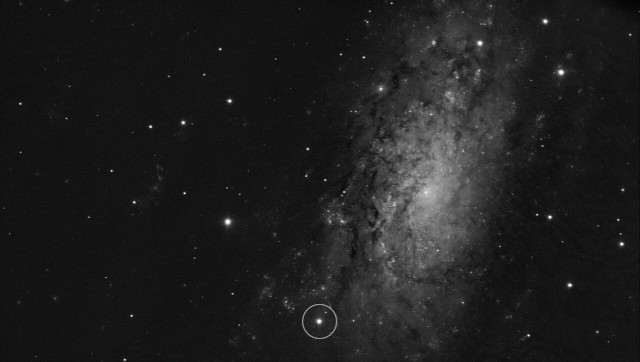 La galassia NGC 3621 con la posizione della supernova SN 2024ggi nel cerchietto
