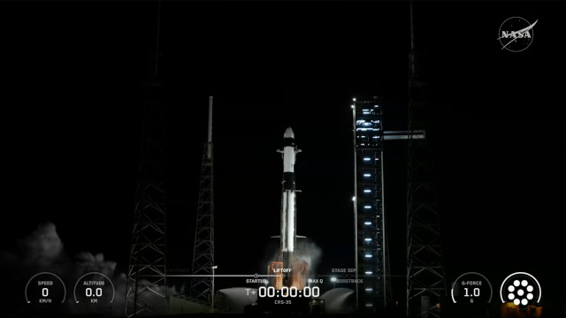 Il cargo spaziale Dragon 2 decolla su un razzo vettore Falcon 9 nella missione CRS-35 (Immagine NASA+)